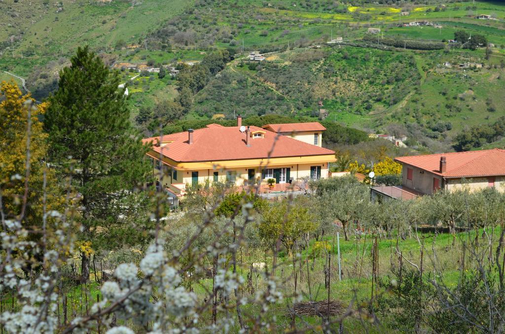 Villa Della Mimosa Alia Εξωτερικό φωτογραφία
