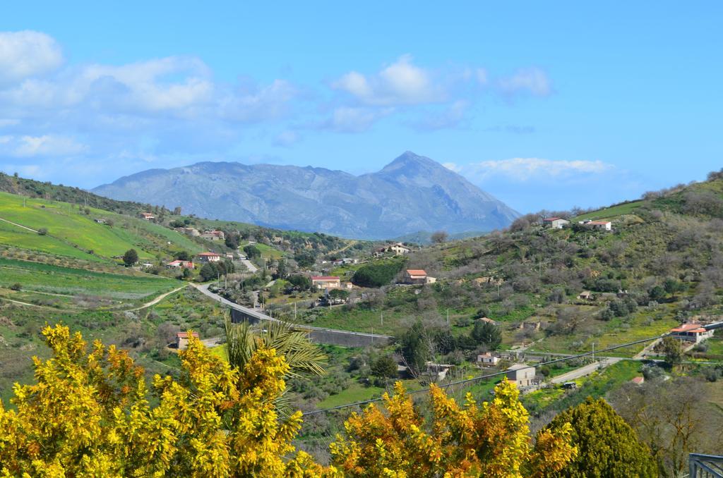 Villa Della Mimosa Alia Εξωτερικό φωτογραφία