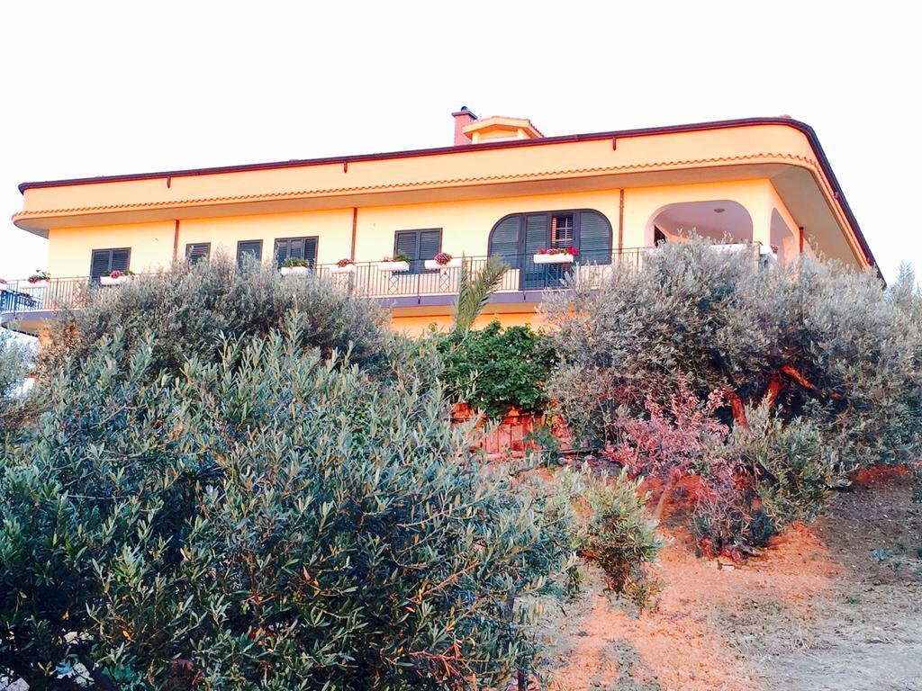 Villa Della Mimosa Alia Εξωτερικό φωτογραφία