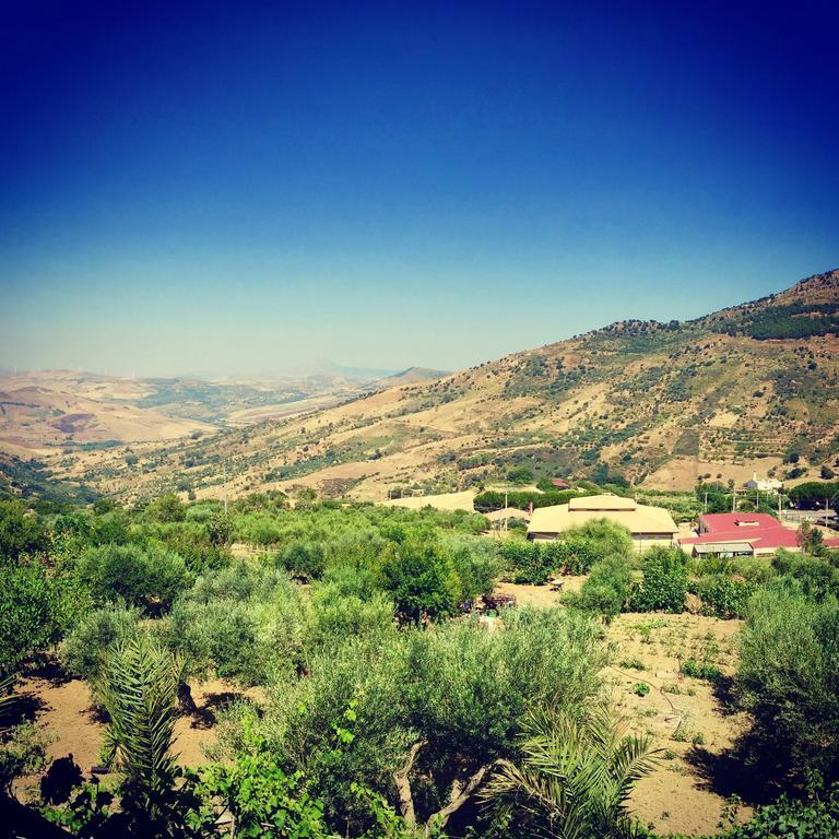 Villa Della Mimosa Alia Εξωτερικό φωτογραφία