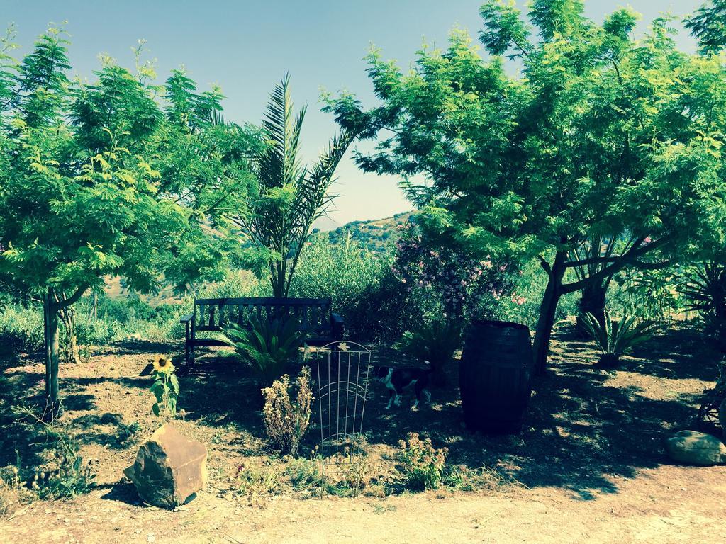Villa Della Mimosa Alia Εξωτερικό φωτογραφία