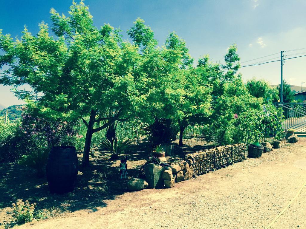 Villa Della Mimosa Alia Εξωτερικό φωτογραφία