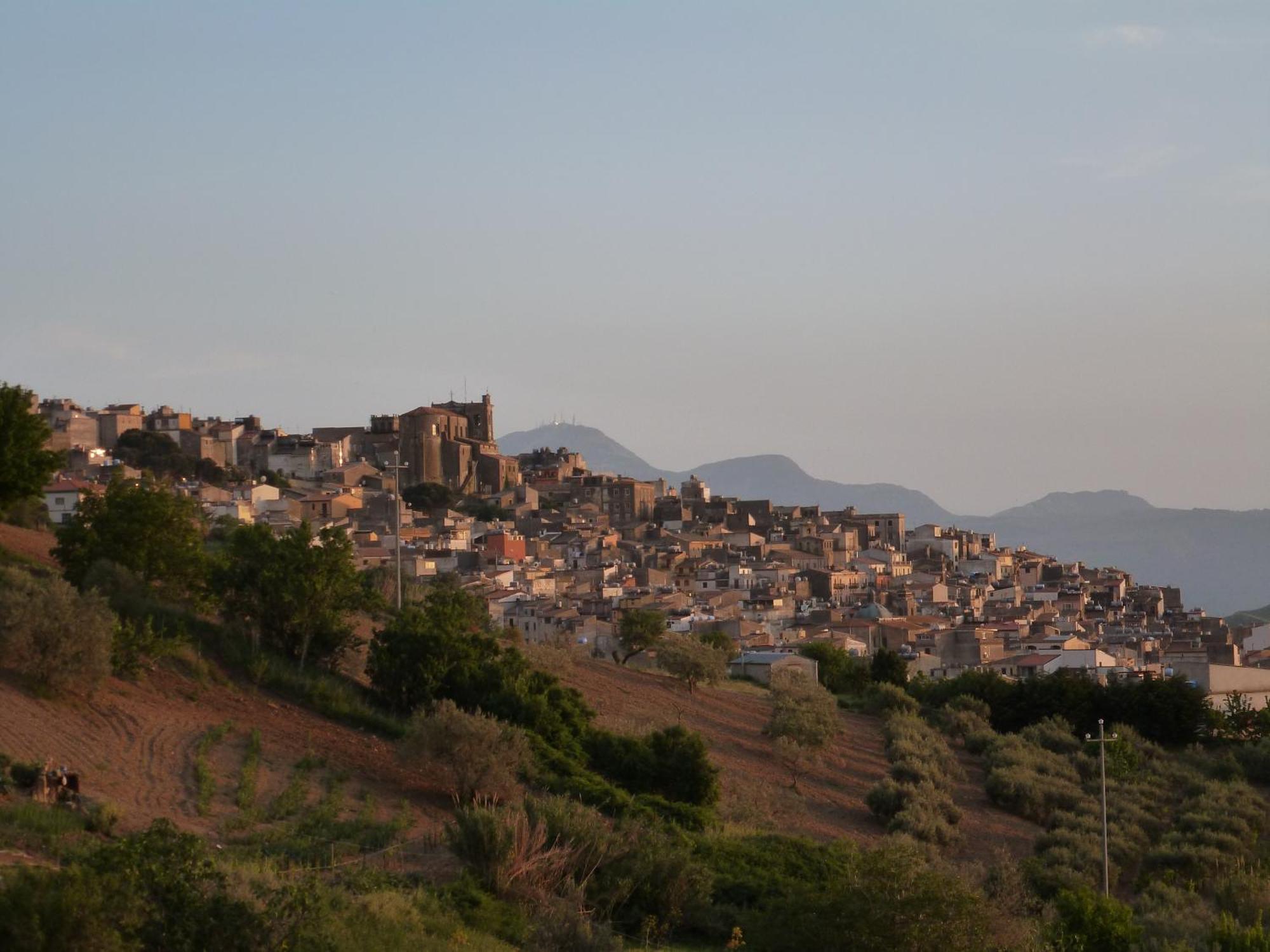 Villa Della Mimosa Alia Εξωτερικό φωτογραφία
