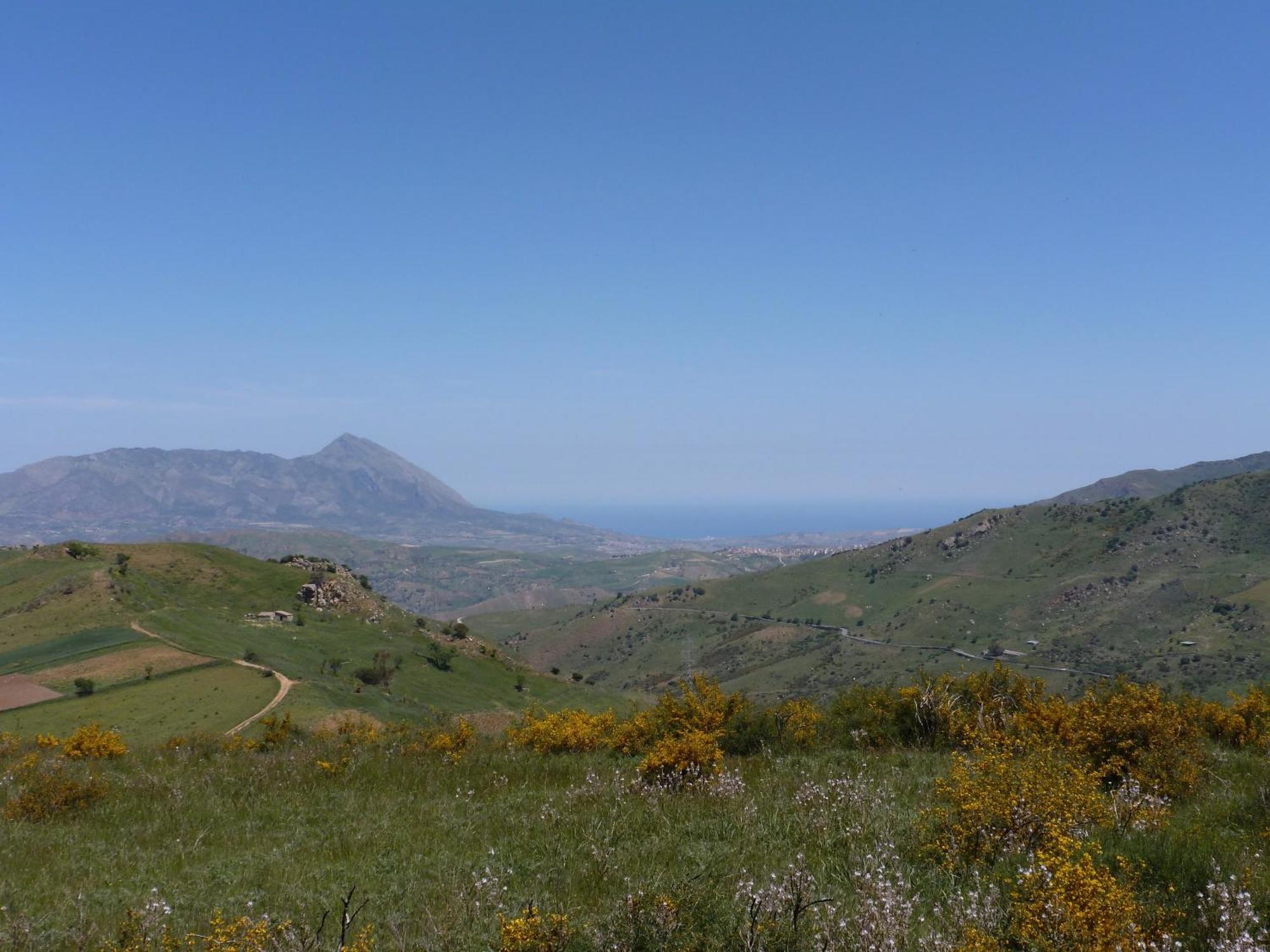 Villa Della Mimosa Alia Εξωτερικό φωτογραφία