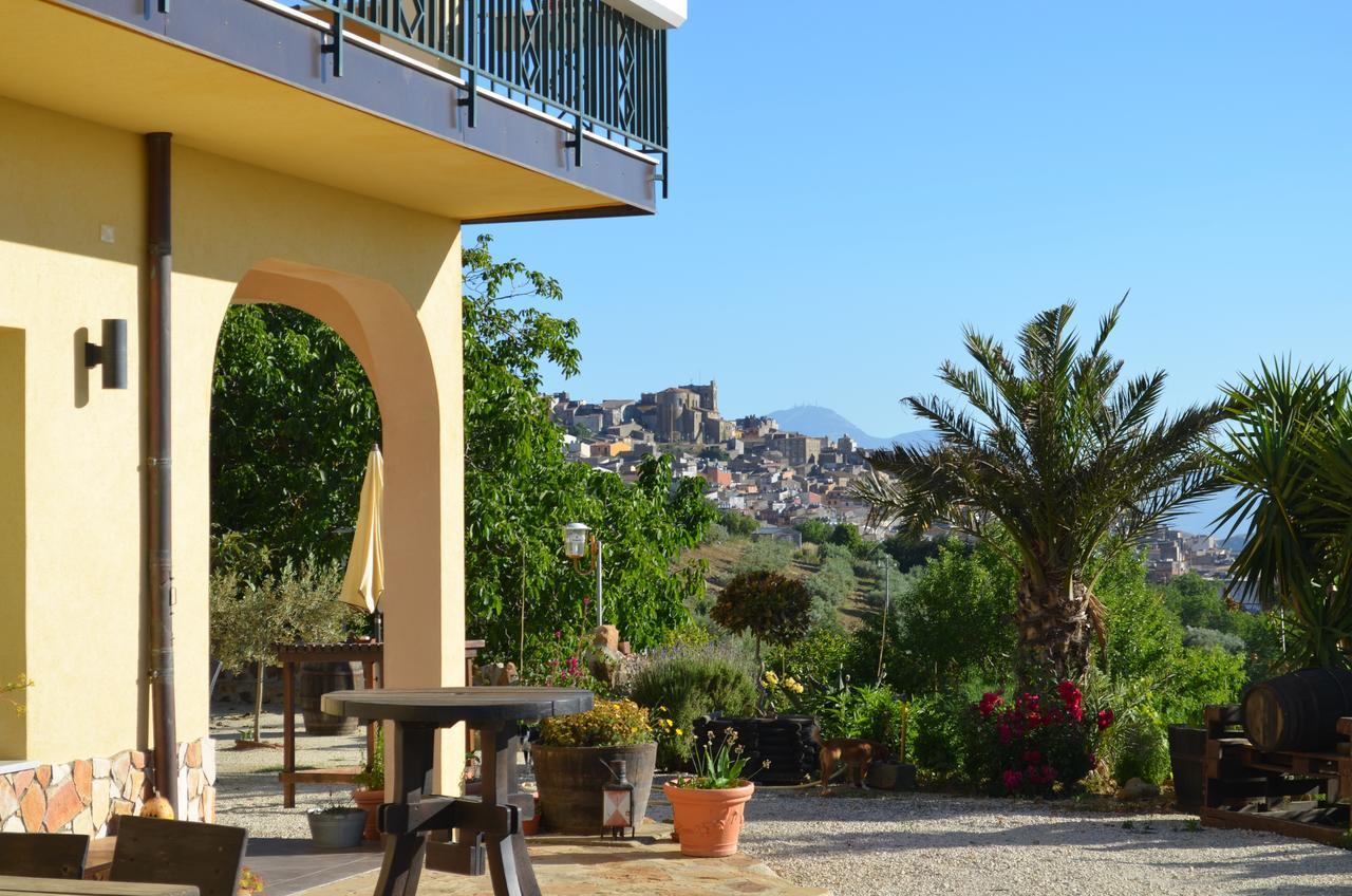 Villa Della Mimosa Alia Εξωτερικό φωτογραφία